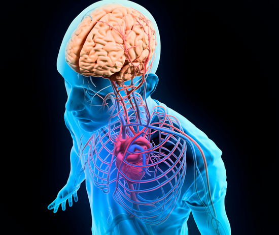 Surprising News About Dementia Risk…And How to Prevent It