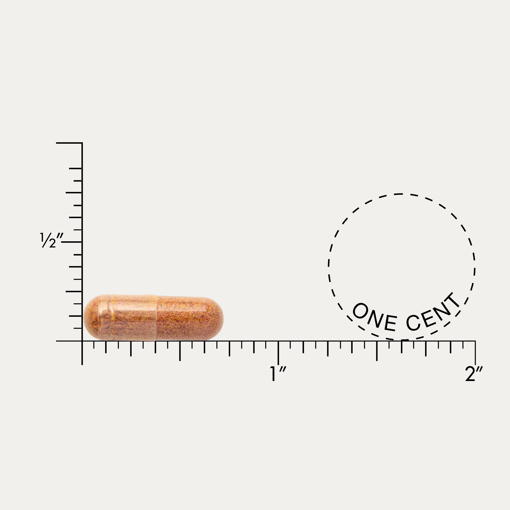 Durable CHOLESTEROL COMPLETE®