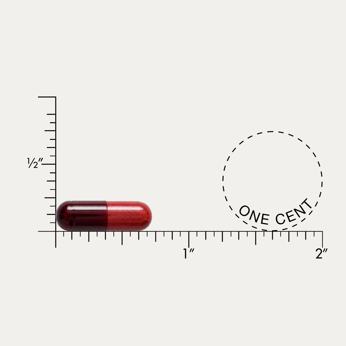 Durable CHOLESTEROL COMPLETE®