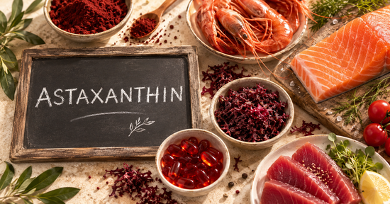 Astaxanthin-rich microalgae representing powerful antioxidant support for cellular health, healthy aging and longevity.