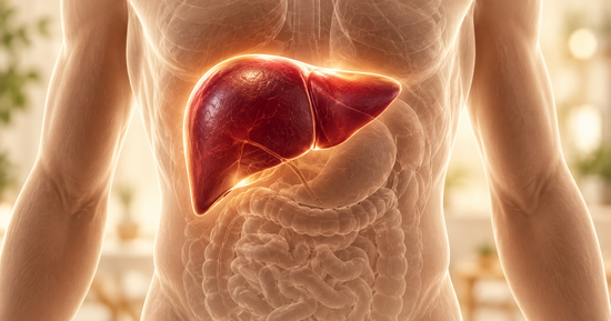 Illustration of the liver representing signs of impaired liver function and the importance of healthy detoxification.