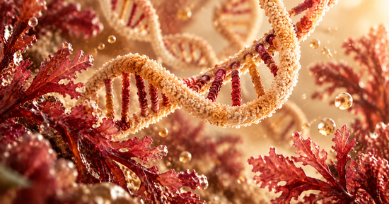 staxanthin and NAD+ representing two approaches to cellular health, healthy aging and longevity.