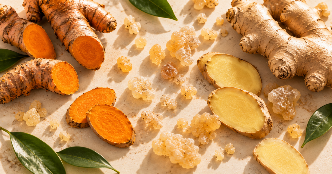 Turmeric, ginger, boswellia and PEA representing natural support for inflammation and pain relief.