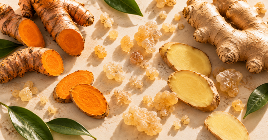Turmeric, ginger, boswellia and PEA representing natural support for inflammation and pain relief.