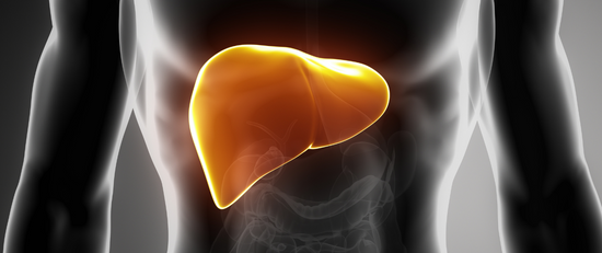 10 Warning Signs Your Liver is Crying Out for Help
