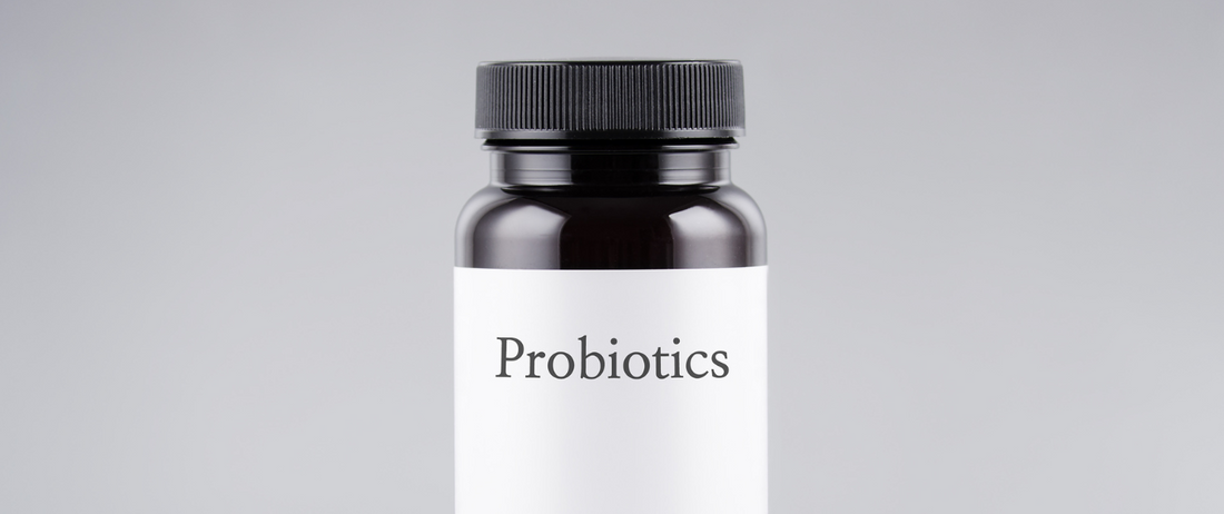 Why Probiotic Strains Need to be DNA Verified