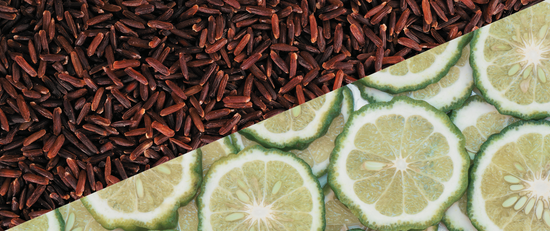 Citrus Bergamot vs. Red Yeast Rice: Which One Should You Take to Lower Your Cholesterol?