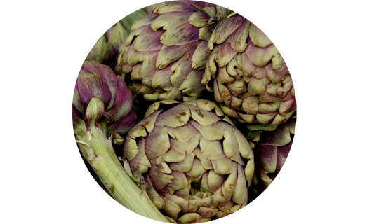 Artichoke Extract
