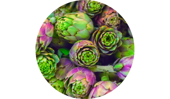 Standardized Artichoke Extract