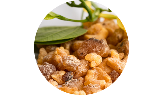 Boswellin® Standardized Boswellia