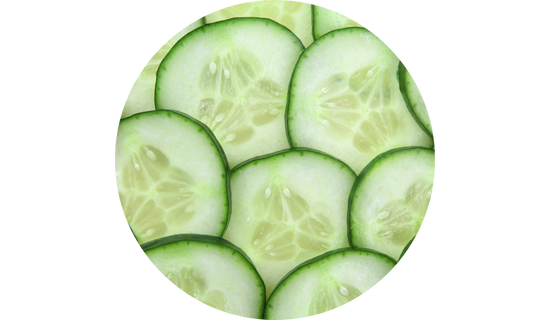 Cucumber