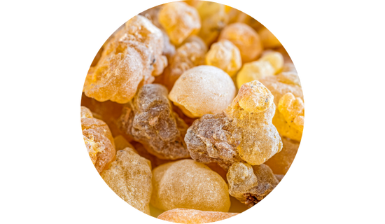 Boswellia Extract