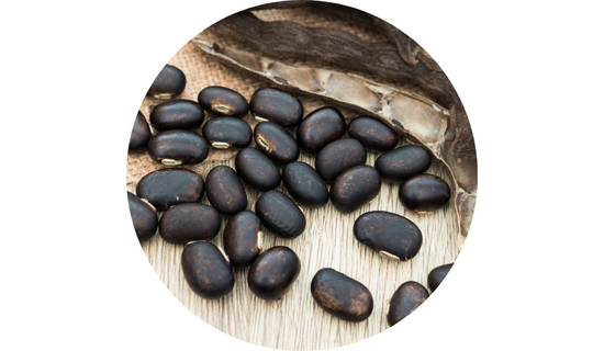 Standardized Mucuna Extract