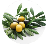 Olefresh™ Olive Leaf Extract