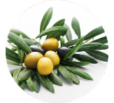 Standardized Olive Leaf Extract