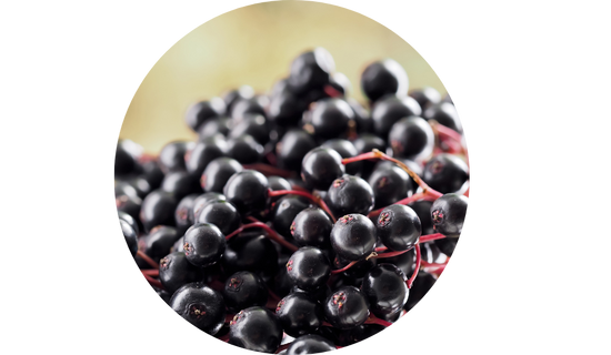 ElderCraft® Elderberry