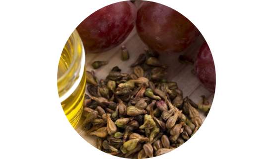 Enovita® Grape Seed Extract