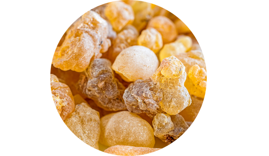 Nutricog® Botanical Complex