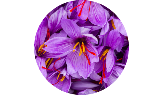 Saffron EX 5C™ Extract