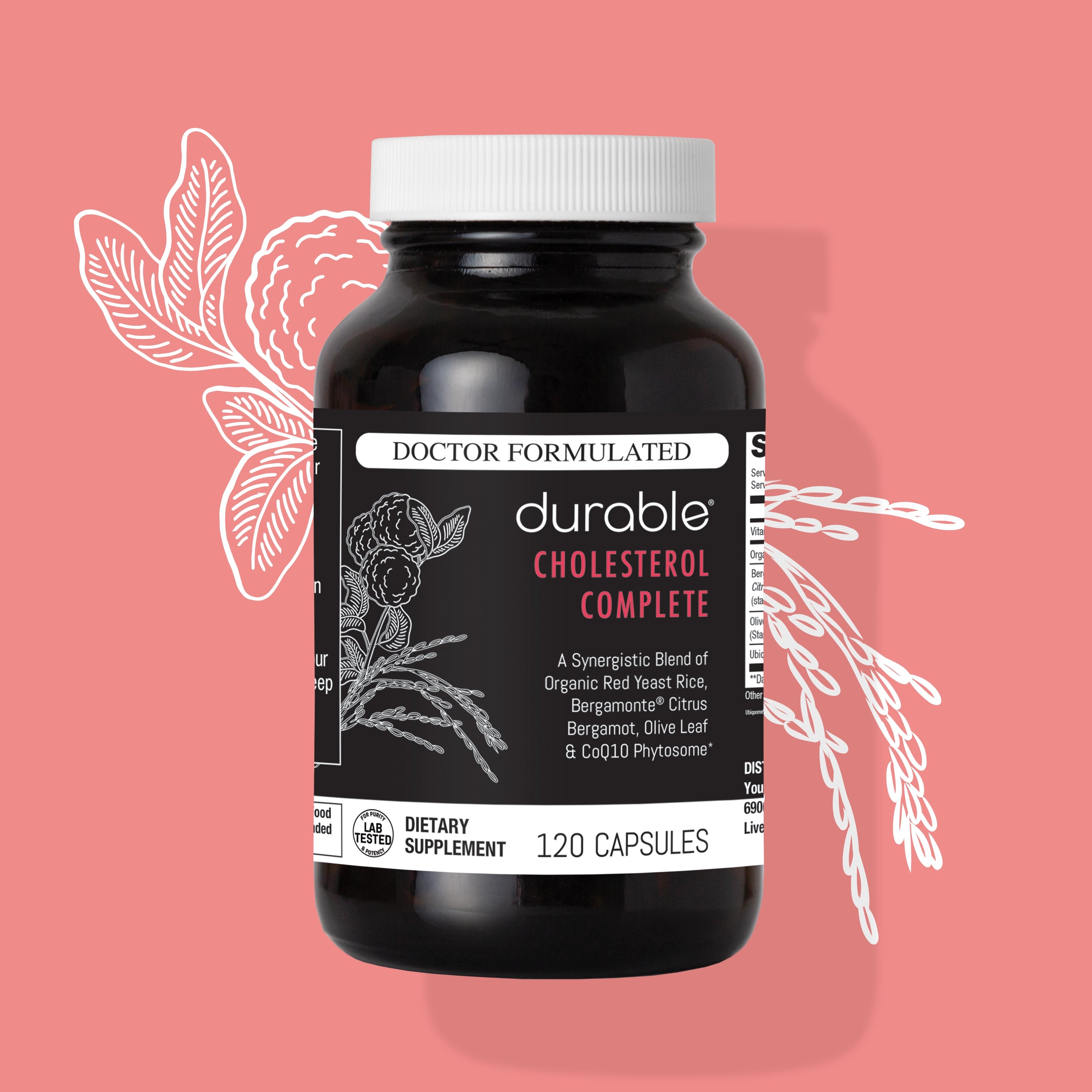 Anti-HMGCR Antibody [CL0260] (ab242315