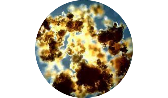 Ubiqsome® CoQ10 Phytosome™